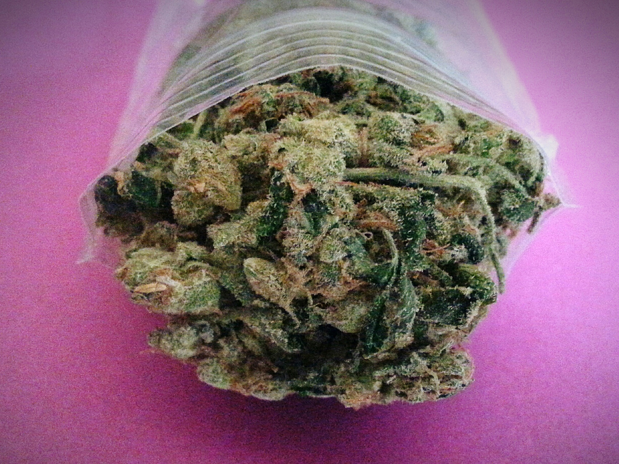 Medical-Marijuana