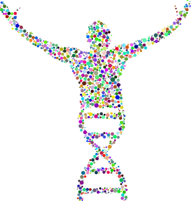 dna assessment